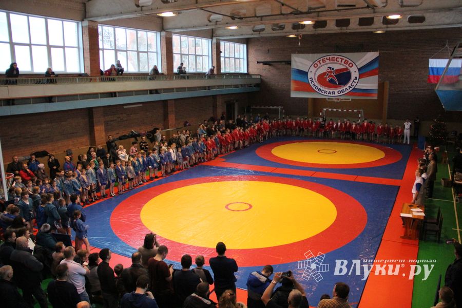 Открытый турнир по самбо «Новогодняя звезда-2019» прошел в Великих Луках (ФОТО)