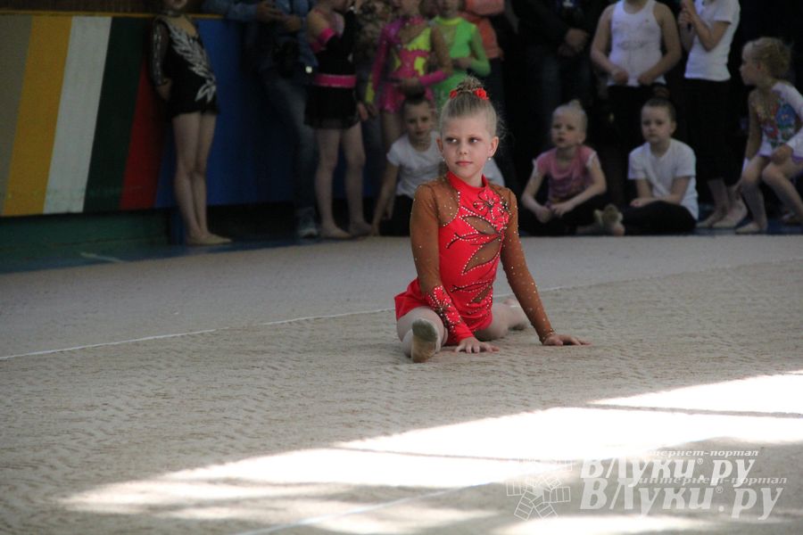 В Великих Луках прошло Первенство по художественной гимнастике (фото)