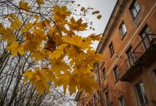 Сегодня в Великих Луках будет пасмурно