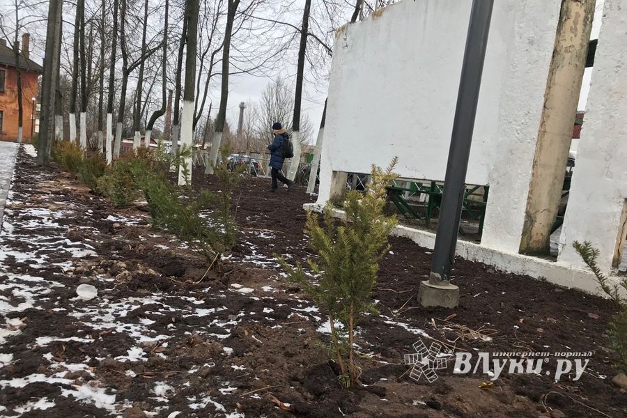 Обновлённый сквер на Гагарина ждёт весны (ФОТО)