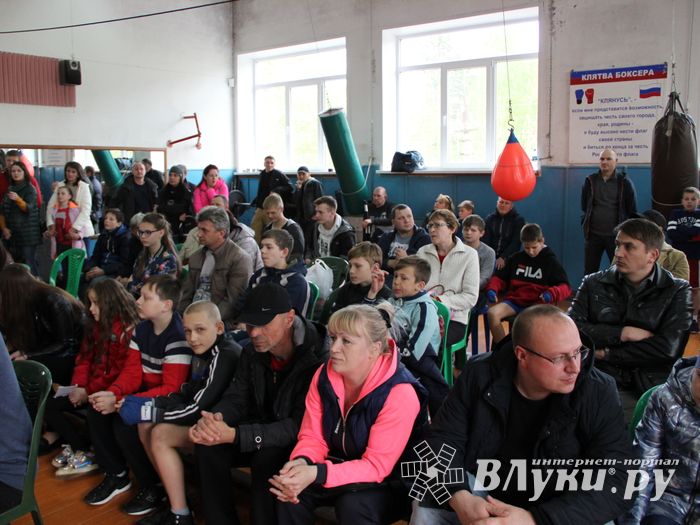 Юные великолучане выявили сильнейших боксёров (ФОТО)