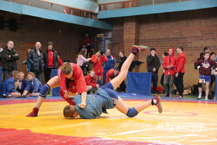 Великолукские самбисты завоевали 54 награды на Первенстве города (ФОТО)