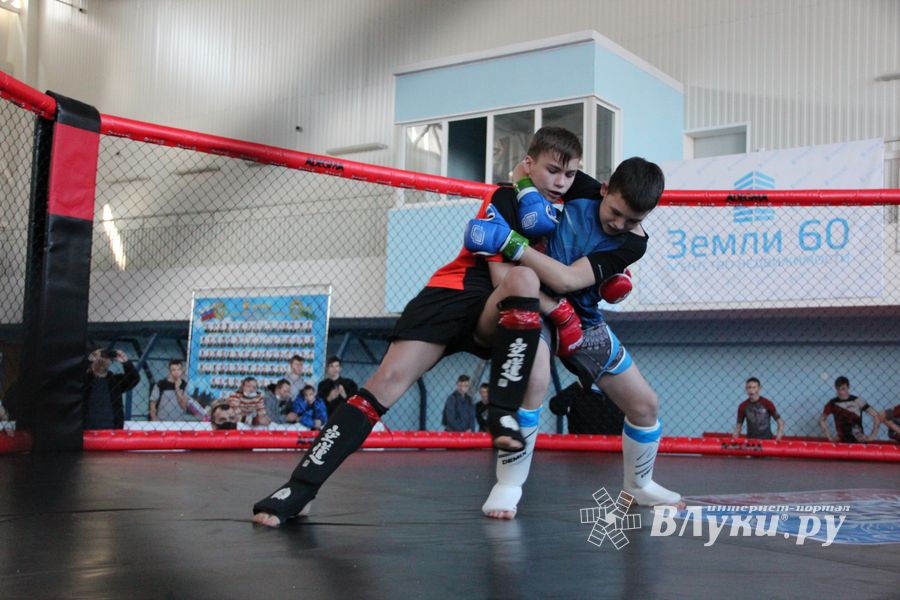 Фестиваль боевых искусств прошел в Великих Луках (ФОТО)