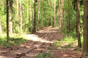 Строительство велоцентра в Великих Луках: склад, спортплощадки, велодорожки и земляника (ФОТО)