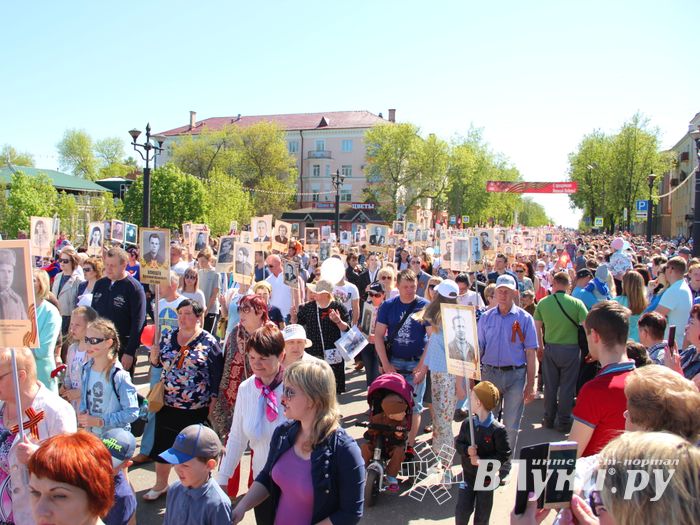 По центральному проспекту Великих Лук прошёл  «Бессмертный полк» (0+) (ФОТО)