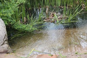 «Партия Дела» делает дело