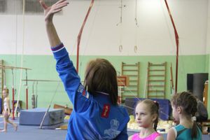 В Великих Луках прошло Первенство Области по спортивной гимнастики (фото)