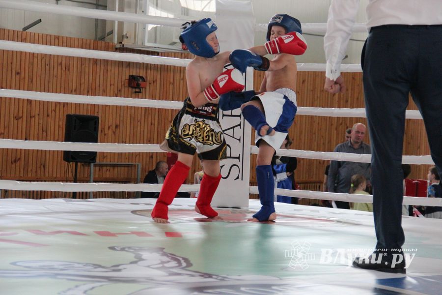 В Великих Луках прошел Кубок области по кикбоксингу (ФОТО)
