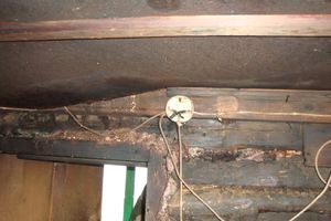 В Великих Луках горела баня (фото)