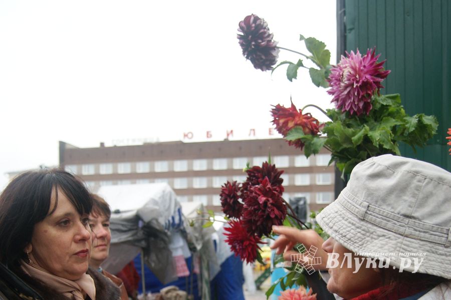 ​Универсальная торговая ярмарка «Осень – 2014» состоялась  в Великих Луках