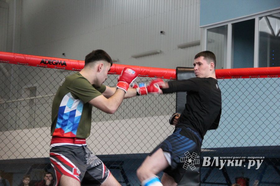 В Великих Луках прошел кубок по смешанному боевому единоборству (ФОТО)