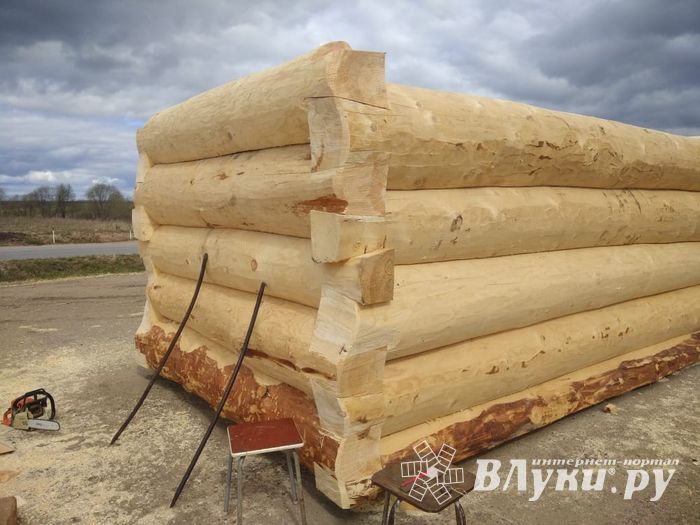 Уникальная часовня-купель появится в память о погибших великолукских паломниках