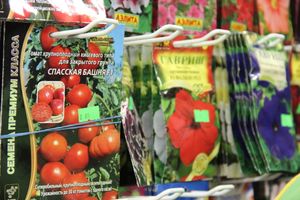 «Золотая Репка» удивляет! (ФОТО)