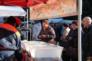 В Великих Луках прошла универсальная осенняя ярмарка (ФОТО)