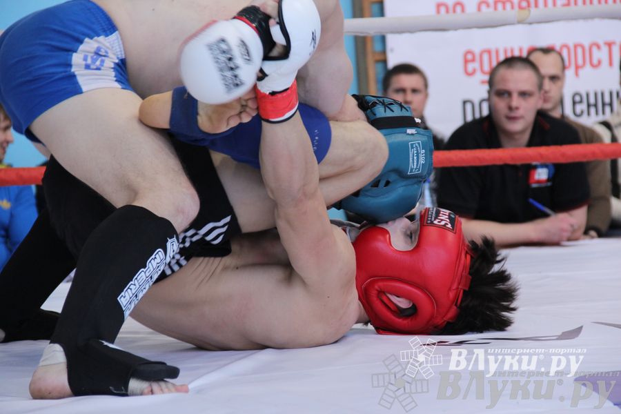 Открытый Кубок города Великие Луки по смешанному боевому единоборству (ММА)