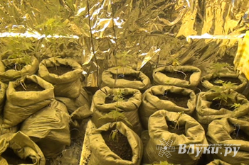 В Псковской области полиция накрыла нарколабораторию (фото)