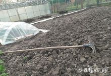 Двое жителей Великолукского района подрались из-за земельных участков