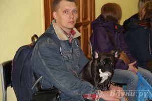 Всероссийская выставка собак в Великих Луках (фото)
