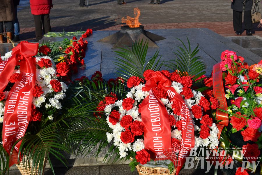 День защитника отечества в Великих Луках отметили памятным митингом и салютом