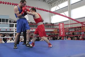 Матчевая встреча по боксу Великие Луки —Псков — Грозный (ФОТО)