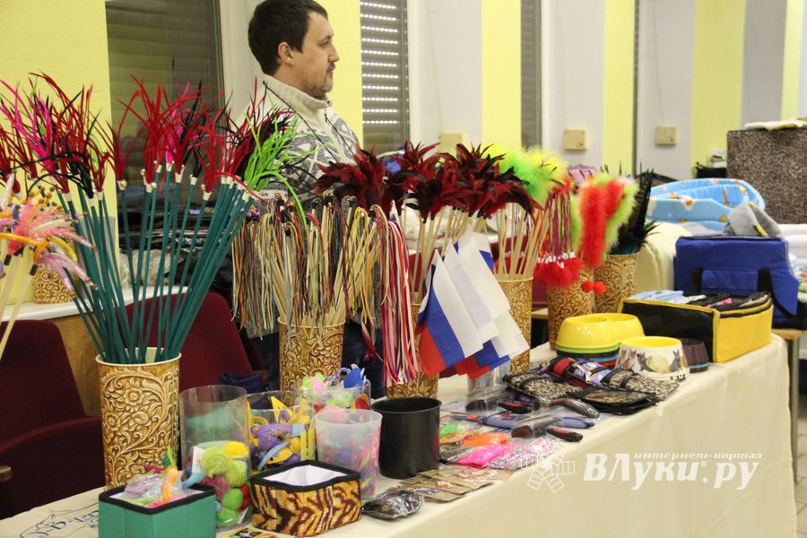 В Великих Луках прошла выставка кошек (фото)