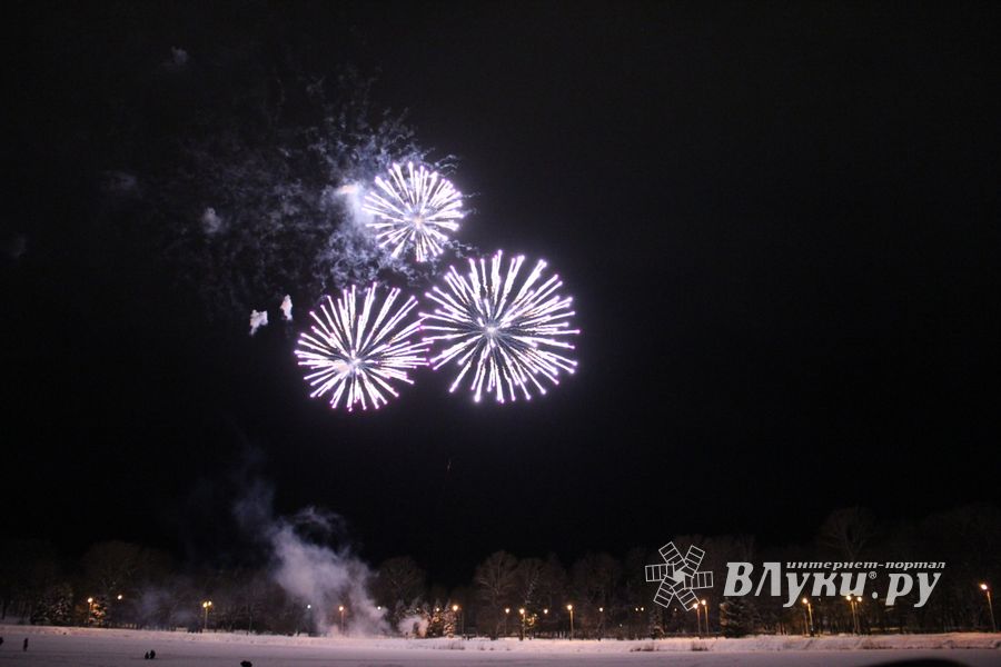 В Великих Луках зажглась новогодная ёлка (ФОТО)