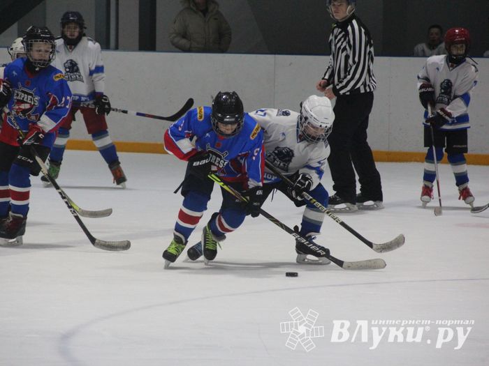 В Великих Луках прошел детский Открытый турнир по хоккею (ФОТО)