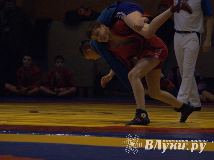 Великолучане завоевали призовые места на турнире по самбо «Память» (ФОТО)