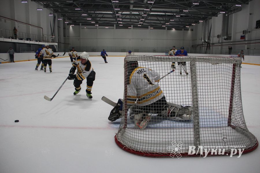 Великолукские хоккеисты одержали победу на домашнем льду (ФОТО)