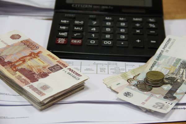 Новая выплата для семей с невысокими доходами перечислена более чем на 11 тысяч псковских детей от 8 до 17 лет