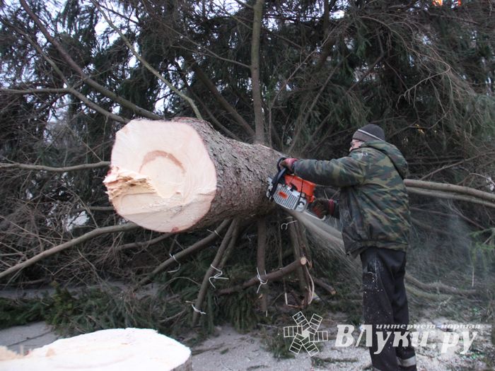 Необычное украшение сняли с главной ёлки Великих Лук (ФОТО)