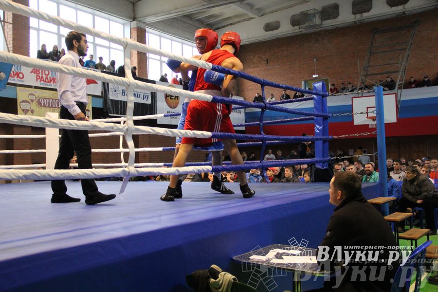 16-й Международный турнир по боксу (фото)