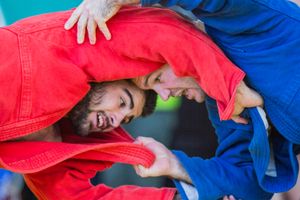 Фото: Александр Воробьев Великолучане завоевали награды Всероссийских соревнований по самбо