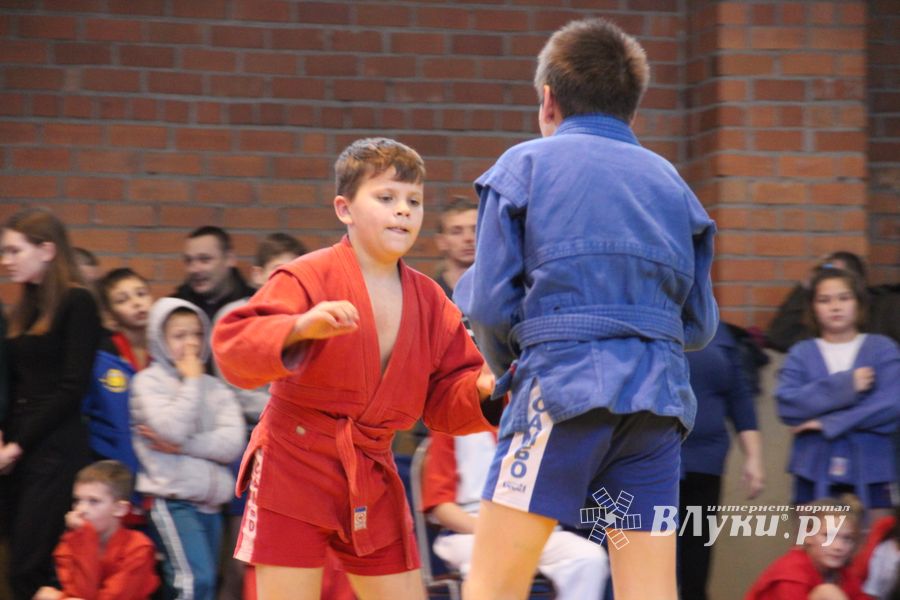 Открытый турнир по самбо «Новогодняя звезда-2019» прошел в Великих Луках (ФОТО)