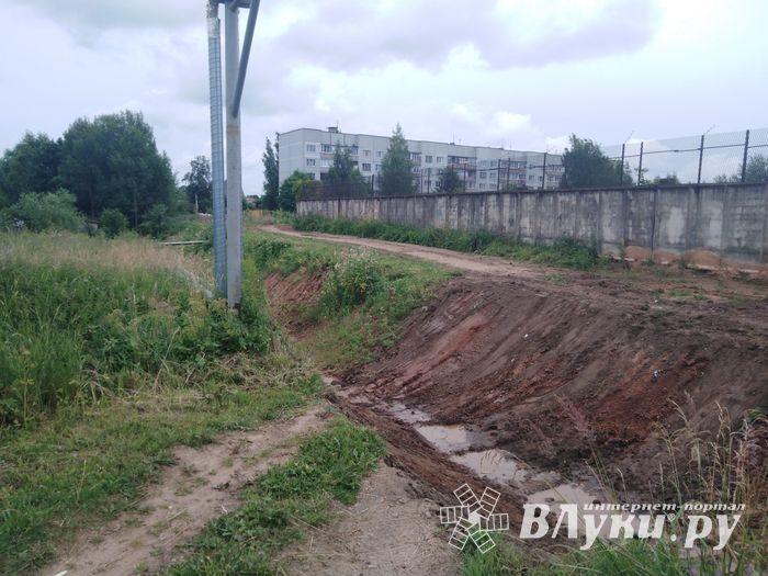 Дом великолучанки отрезали от внешнего мира (ФОТО)