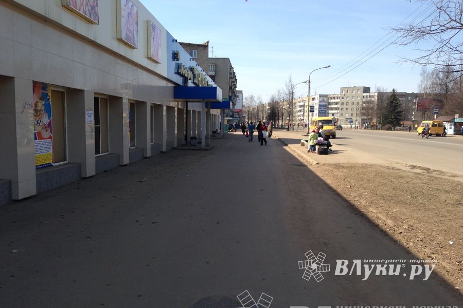 Весне дорогу!