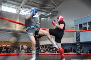 В Великих Луках прошел кубок по смешанному боевому единоборству (ФОТО)