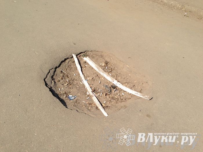 Весне дорогу!