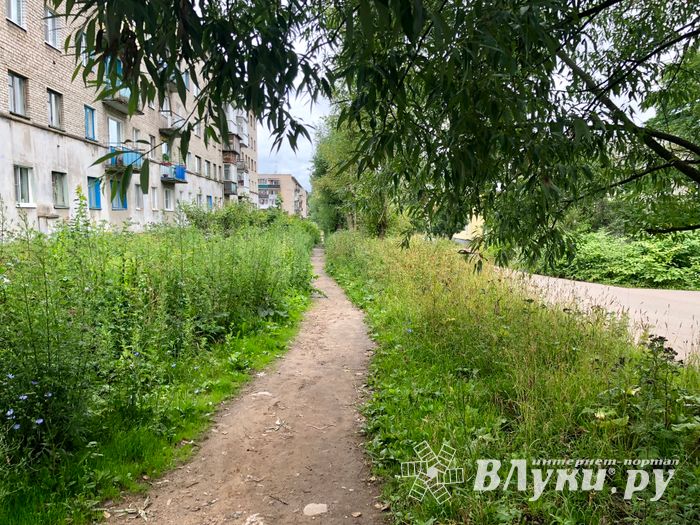 Пешеходом в Великих Луках быть трудно (ФОТО)