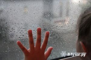 © ВЛуки.ру