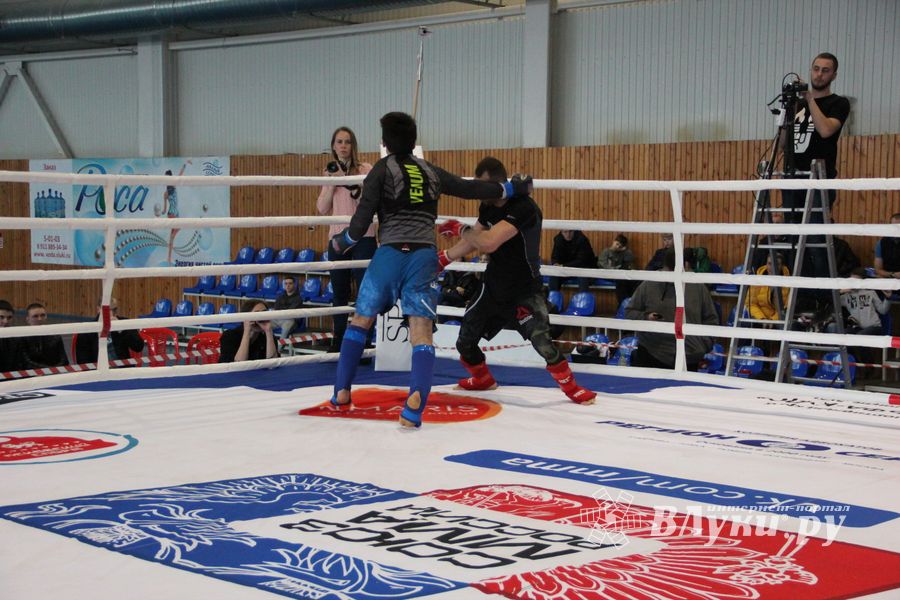 Открытый кубок по смешанному боевому единоборству ММА прошел в Великих Луках (ФОТО)