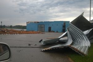 Ураган в Псковской области валил деревья и срывал крыши (ФОТО)