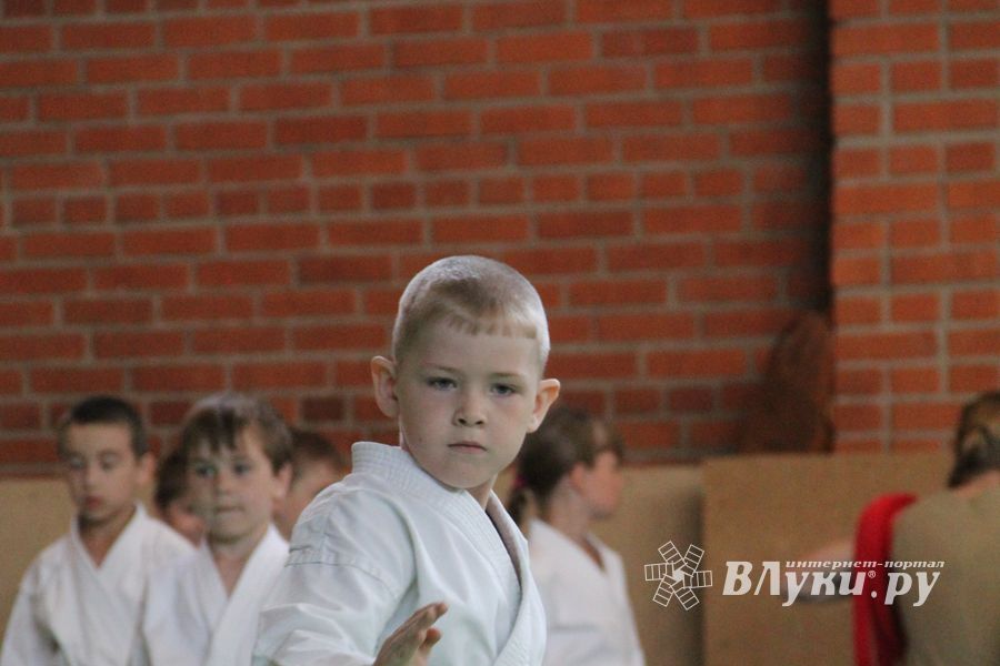 Турнир по каратэ