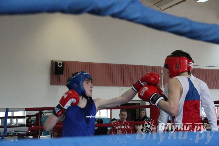 Открытое Первенство города по боксу