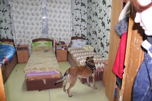 В Великих Луках проходит акция «Сообщи где торгуют смертью» (ФОТО)