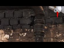 Перец-Рапид: Пожар в приюте для животных