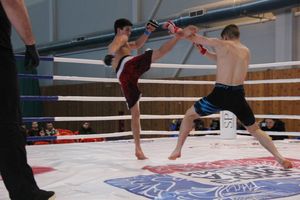 В Великих Луках завершился открытый кубок по смешанному боевому единоборству ММА (ФОТО)