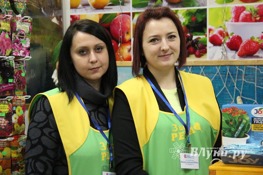 «Золотая Репка» удивляет! (ФОТО)