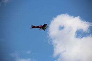 Чемпионат России по авиамодельному спорту