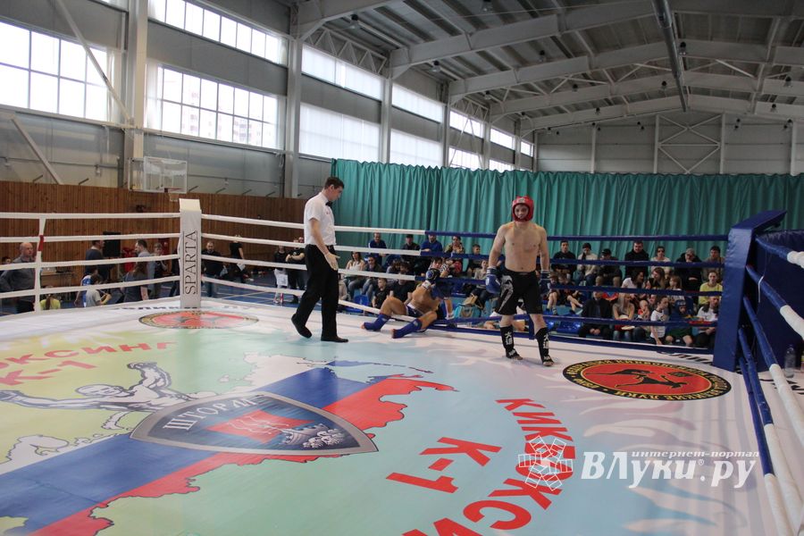 В Великих Луках прошел Кубок области по кикбоксингу (ФОТО)